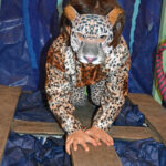 Wir reisen nach Afrika